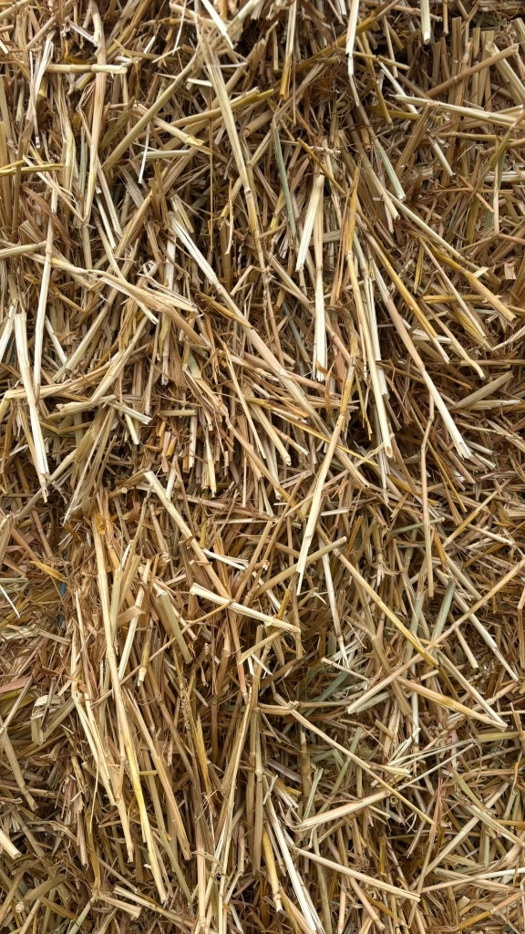 Paille de froment zoom - litiere.webp