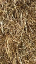 Paille de froment zoom - litiere.webp