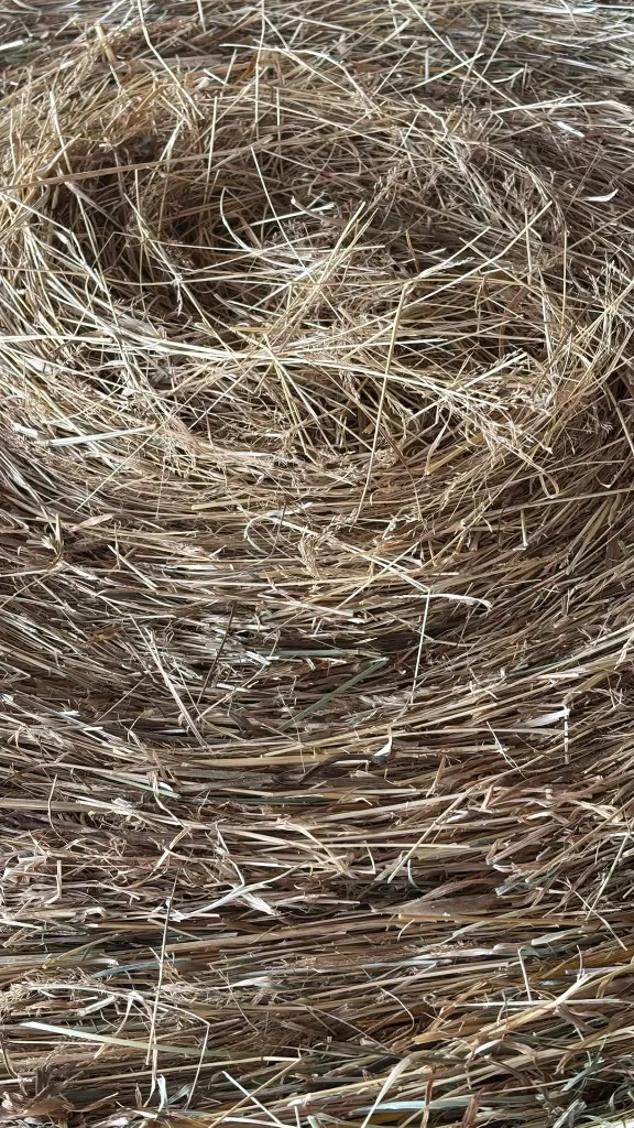 Foin de prairie petit ballot rond diamètre de 100 à 120 cm détails.webp