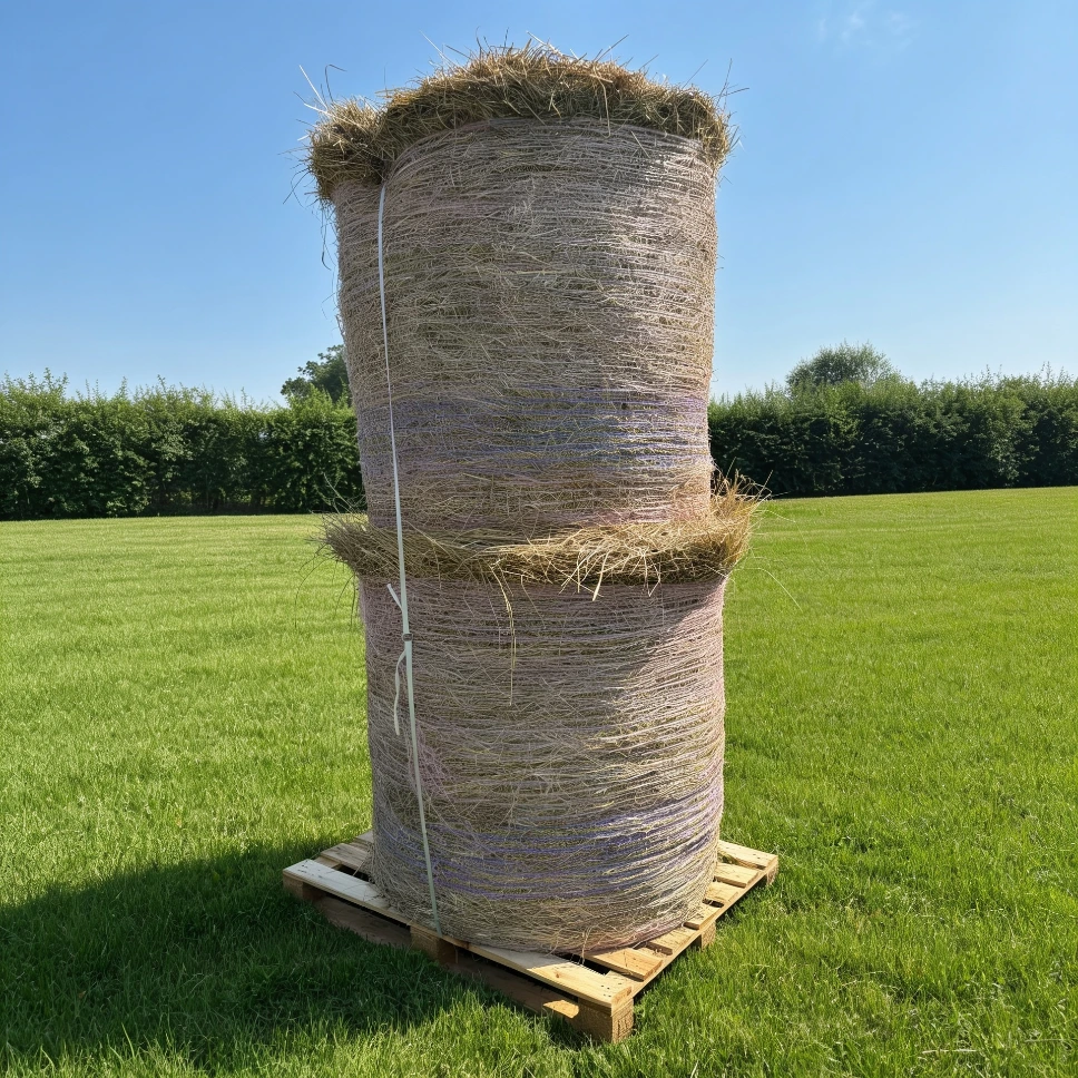 Foin de prairie : petit ballot rond